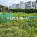 순천팔마고등학교 이미지