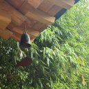 호텔 담 이미지