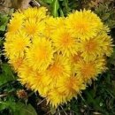 사람사는 이야기 이미지