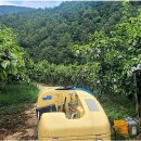 사과나무공인중개사사무소 이미지