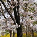 달맞이근린공원 이미지