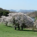 4. 21 해미읍성, 개심사, 용비지....더 즐거운 버스걷기를 위하여~ 이미지