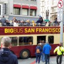 빅골든하우스 이미지