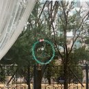 님도그냥 | 고양 수제간식, 도래울 애견동반카페 님도그냥