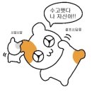 신현대자동차운전전문학원 이미지