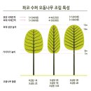 케이디산업 주식회사 이미지