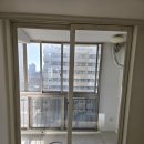 영등부영3 이미지