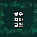 공주시 치아교정 잘하는 전문치과 병원 추천 | 비용 후기 설측교정 돌출입 앞니 투명 무턱 부분 교정기...