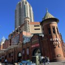 정말조은마켓 이미지