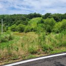 금사농장 이미지