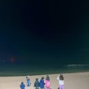 주문진초등학교 | 양양 농촌유학 한 달 후기: 남애초등학교 적응기와 남애3리 구옥 살이의 현실