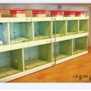 내품에동물병원 이미지