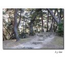 영주 소수서원 이미지