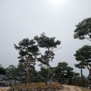 예향천리마실길 2코스 편백숲길 | 전북천리길 고창군 제3길 고창읍성길 (2023.3.17.~2025.9.22.)