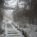 북악자동차 이미지