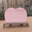 힐링(장태산) 이미지