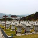 미타사 이미지