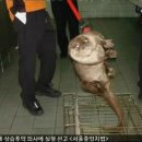 지하철 아양교역 이미지