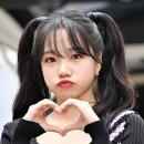율 이미지