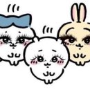 아이엠이아이