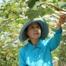 김경순농장 이미지