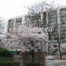 잠원동011 이미지