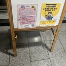 필라테스(오후반) | [종합운동장/잠실새내] 체형교정 근력강화 피노필라테스 레슨 후기