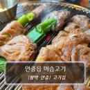 평택갈비 | 평택 돼지갈비 맛집 :: 머슴고기 안중점 후기