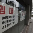 미운오리 이미지