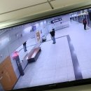 장미 | 도자캣 콘서트 후기 : 장미꽃 받은 남자.