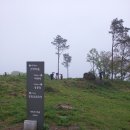 비래초교 이미지