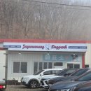 멍발머리 | [자유로멍 애견놀이터] 대형 놀이터가 있는 곳이에요