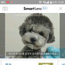 smartlens 해봤어요ㅋ 이미지