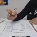 플라베스 이미지