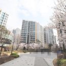 토박이공인중개사사무소 이미지