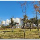 봉동약국 이미지