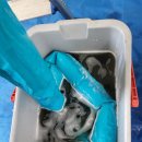 원영크레온오피스텔 이미지