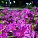 금남체육공원 이미지