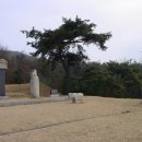 하연 선생 묘 이미지