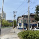 블랙스완래쉬 이미지