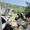 명지(병설)유치원 이미지