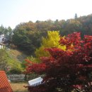 금정사슴농장 이미지