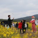 유채공방 이미지