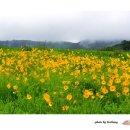 화원목장 이미지