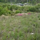 구산면557 이미지