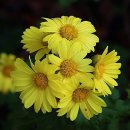 기억의 순간 이미지