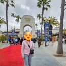 유니버셜투어주