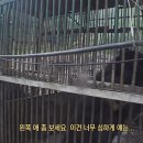 장서농장 이미지