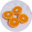 동환농장 이미지