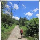 세동상사 | [20120801~09]때론 함께 때론 홀로 '지리산 둘레길 전구간 한꺼번에 이어걷기' 3일차 - 1부